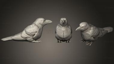 3D модель Сидящая ворона (STL)